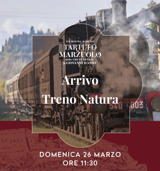 MARZUOLO-TRENO