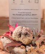 mostra tartufo bianco 2019 seconda settimana (5)