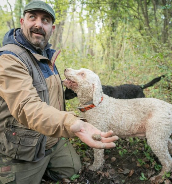 seconda settimana mostra tartufo 2018 (30)